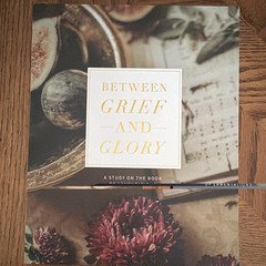 The Daily Grace Co Between Grief and Glory Bible Study Lamentations PB 2020