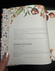 NEW Beholding and Becoming: The Art of Everyday Worship Ruth Chou Simons 2019 HB
