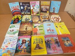 Lot of 50 Chapter INSTANT LIBRARY Children Young Adult RANDOM UNSORTED BOOKS MIX