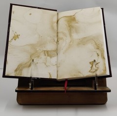 Family register of Gerret Van Sweringen and descendants 1906 b [Leather Crafted]