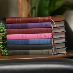 KJV Holy Bible: Value Large Print Thinline, Pink Leathersoft, Red Letter,…