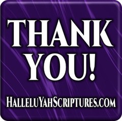 Restored NAMES Bible 16 In A Box – THE BEST BIBLE – FREE SHIPPING