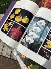 VTG Time Life Encyclopedia of Gardening Set of 12 Hardcover Books 70s Plant Tree