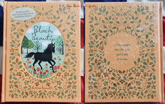 Set of 14 Bonded Leather Hardcover Children Books Peter Pan Alice Little Mermaid