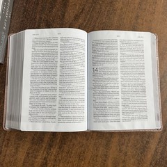 Amplified Joyce Meyer Everyday Life Study Bible – Blush LeatherLuxe