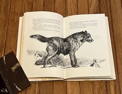 Julie of the Wolves By Jean Craighead George 1972 HC DJ 1st Ed