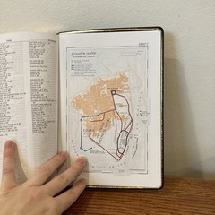 NIV 1984 Scofield Study Bible | Black Genuine Leather | Thumb-Indexed