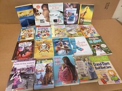 Lot of 50 Chapter INSTANT LIBRARY Children Young Adult RANDOM UNSORTED BOOKS MIX