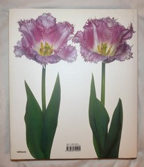 BRAND NEW!!! Tulips Photography Book Hardcover Book with Dust Jacket
