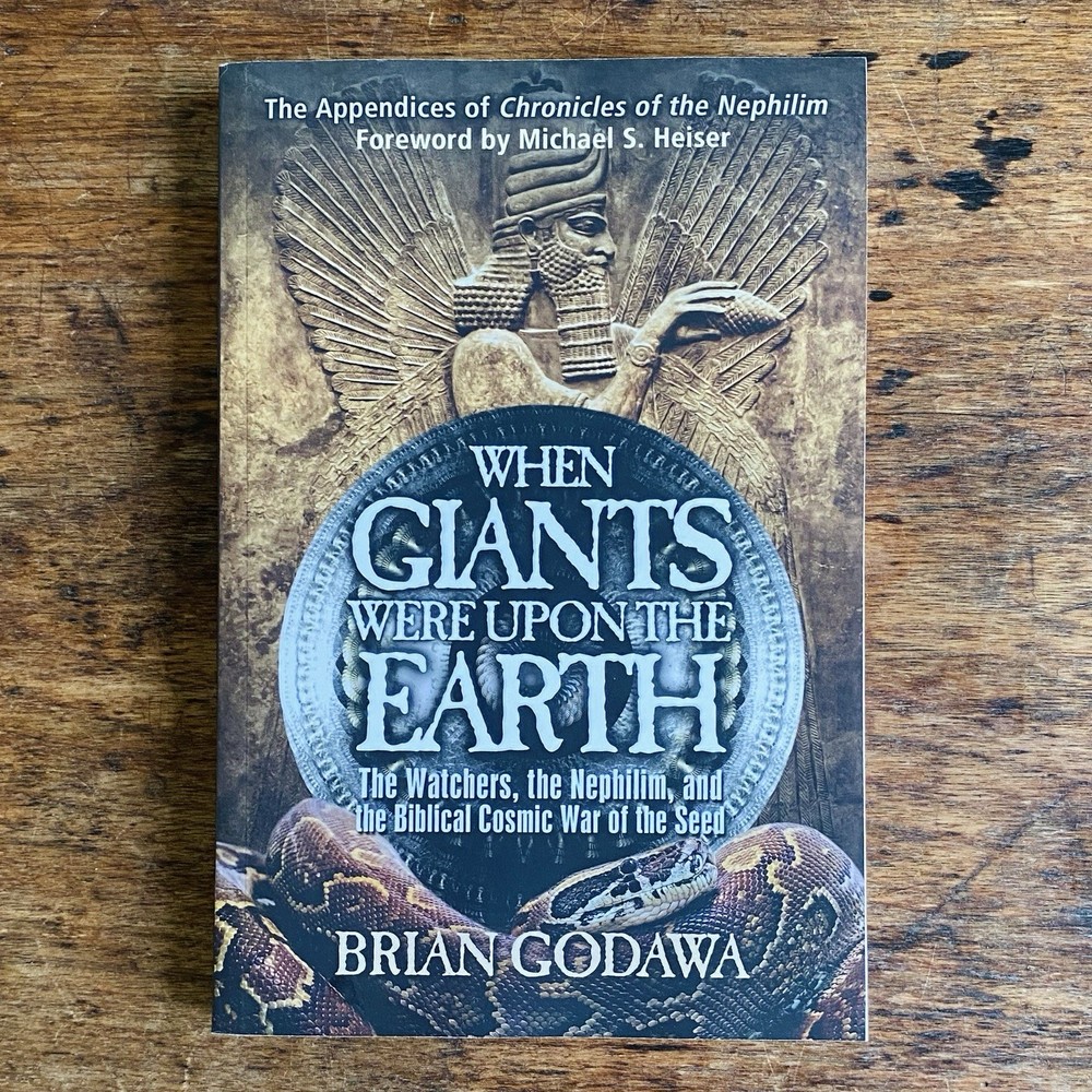 When Giants Were upon the Earth by Brian Godawa 2014 Paperback