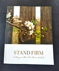 The Daily Grace Co. Stand Firm Bible Study Book, Trade Paperback