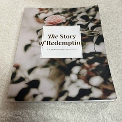 Lot 10 The Daily Grace Co Bible Study Guides New Testament Story Of Redemption