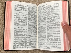 Bible world publishing company compact red letter 1950s 652 361 Morocco