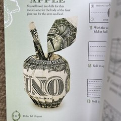 Dollar Bill Origami book by Won Park 72 Pages Illustrated And Instructions