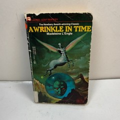 A Wrinkle in Time by Madeleine L’Engle 1976 Vintage Paperback Stranger Things