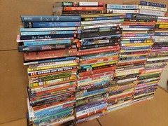 Lot of 50 Chapter INSTANT LIBRARY Children Young Adult RANDOM UNSORTED BOOKS MIX