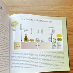 Charting the End Times by Tim LaHaye & Thomas Ice Hardcover Religion Guide
