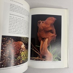 Edible and Poisonous Mushrooms of the World by Hall, Stepheson, Buchanan, Yun