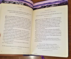 David Jeremiah JOURNEY ‚Your Daily Adventure With God‘ Faux Leather Bound 2011