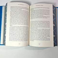 The Bright Sword Lev Grossman Hardcover SIGNED Broken Binding Stenciled Edges