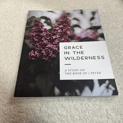 Lot 10 The Daily Grace Co Bible Study Guides New Testament Story Of Redemption