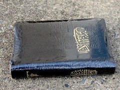 Arabic Bible, New Van Dyck Version, Black Leather Zipper, Classical, Medium