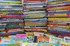 Bulk/Huge Lot of 50 of Children’s Kids Chapter Books – Random – Free Shipping!