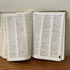 NIV 1984 Scofield Study Bible | Black Genuine Leather | Thumb-Indexed