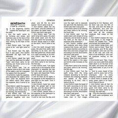 RESTORED NAMES Bible LARGE PRINT PU Leather & 2 FREE BOOKS FREE SHIPPING