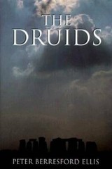 The Druids – Hardcover By Ellis, Peter Berresford – GOOD