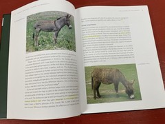 Donkeys: Miniature, Standard, Mammoth Veterinary Guide HC Stephen R. Purdy 2012