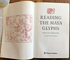 Reading the Maya Glyphs ~ Michael Coe & Mark Van Stone ~ 2001 – HC DJ 1st Ed.!