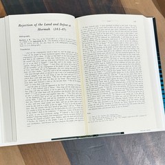 NUMBERS, Philip J. Budd, Vol. 5, Word Biblical Commentary, 1984, Hardcover