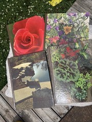 VTG Time Life Encyclopedia of Gardening Set of 12 Hardcover Books 70s Plant Tree