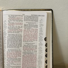 NIV 1984 Scofield Study Bible | Black Genuine Leather | Thumb-Indexed