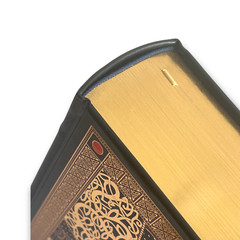 THE HOLY BIBLE King James Version KJV Deluxe Illustrated Bounded Leather – New