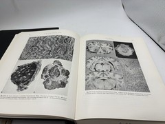 Pathology of Domestic Animals Vol 1 & 2 2nd Ed Jubb Kennedy 1970 HC Set