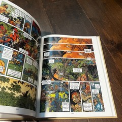 PETER PAN By Regis Loisel 2014 Hardcover Graphic Novel Book French English