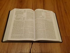 FIRE BIBLE New Living Translation Chi Alpha Edition Leather Soft Cover