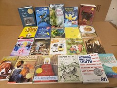 Lot of 50 Chapter INSTANT LIBRARY Children Young Adult RANDOM UNSORTED BOOKS MIX
