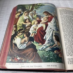 VTG 1953 Holy Bible RSV Nelson & Sons Genuine Leather Black Text + Illustrations