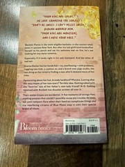 Lot Of Five (5) Paperback Books Mystery And RomCom Popular Titles