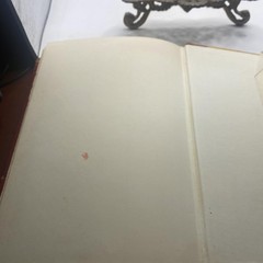 Vintage 1973 Danger To Elizabeth Alison Plowden Stein & Day Red HC DJ History