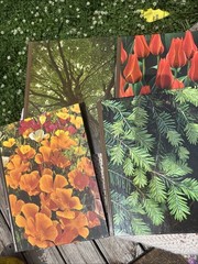 VTG Time Life Encyclopedia of Gardening Set of 12 Hardcover Books 70s Plant Tree