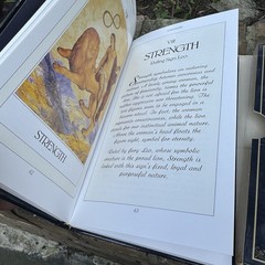 Lovers Tarot: Affairs Heart Book Only