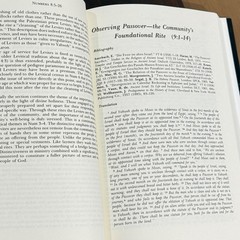 NUMBERS, Philip J. Budd, Vol. 5, Word Biblical Commentary, 1984, Hardcover