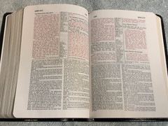Concordia Self-Study Bible NIV Lutheran (Red Letter Ed.) Genuine Leather/Gilt