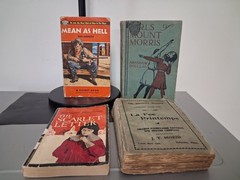 Vintage Book Lot- Scarlett Letter, Mean As Hell, The Girls At Mount Morris,