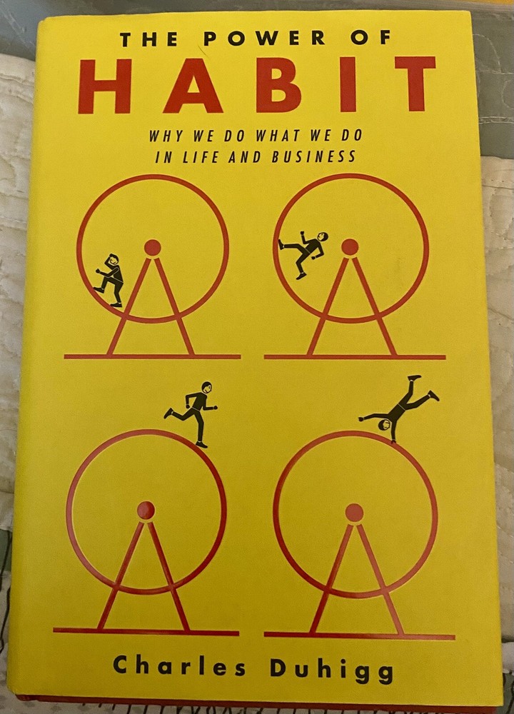 The Power of Habit Why We Do What We Do in Life Business Duhigg