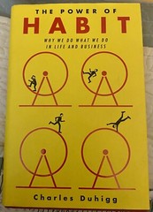 The Power of Habit Why We Do What We Do in Life Business Duhigg